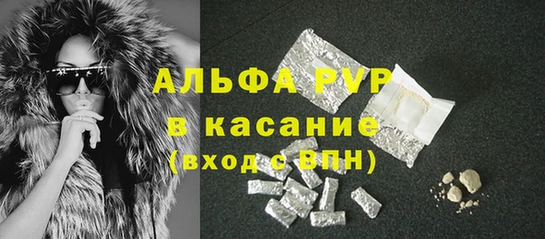 ECSTASY Горняк