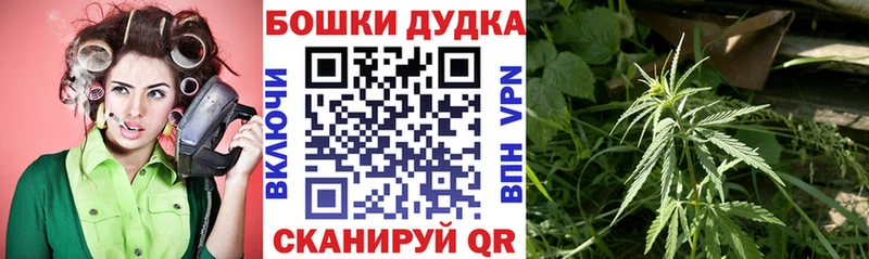Купить где  Кореновск  Шишки марихуана OG Kush 